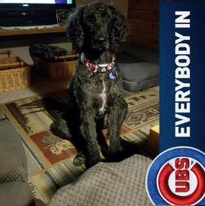 Meet your Posher, Julie